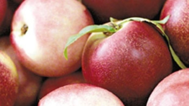 An APVMA risk assessment of residues found that on smooth skin stone fruit, such as nectarines and plums, fruit picked after seven days of spraying had residues levels that were a risk to children.