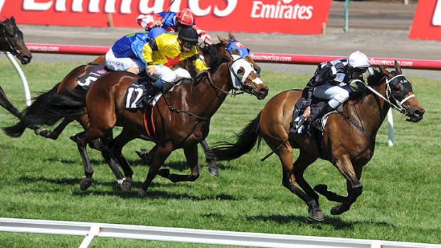 Consolation prize: it’s not the Emirates Stakes, but Nash Rawiller was philosophical after powering Vintedge down the straight to win the Matriarch Stakes, two lengths ahead of Stole and favourite Skyerush.