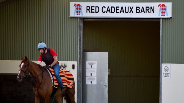 Ultimate tribute: An Australian barn named after an English horse. 