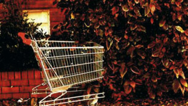 Coles argues Brisbane City Council is not providing enough time for it to collect abandoned shopping trolleys.