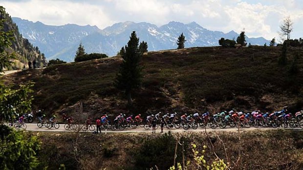In need of Alp: The peloton races in the penultimate mountain stage of the Giro d'Italia, which finishes tonight in Milan.