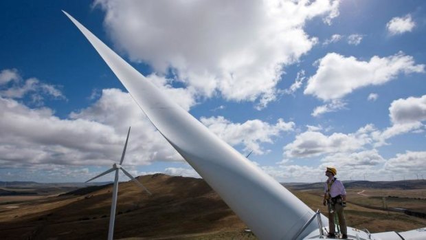 Precarious balance: cutting the renewable energy target will damage the industry, companies say.