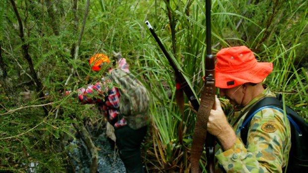 The Shooters Party in NSW wants to amend the law that allows hunters access to national parks for conservation purposes.