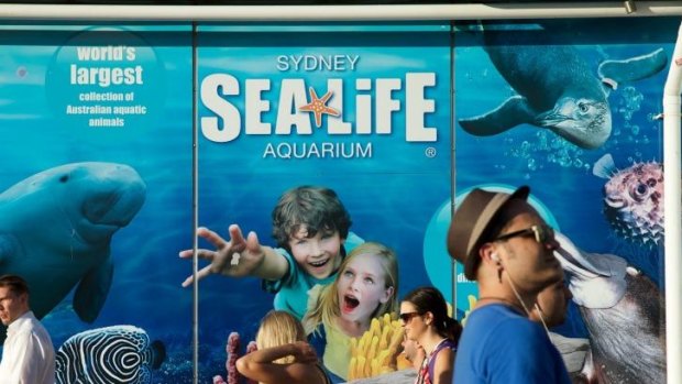PETA criticises Sydney aquarium for after-hours Halloween party