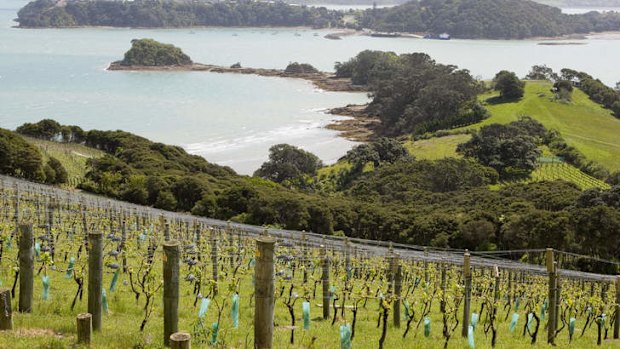 Waiheke Island in New Zealand.