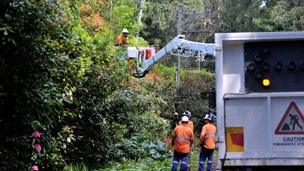 Bushed: Workers clear foliage from electricity wires on the Olinda-Monbulk Road where uninsulated overhead wires will be replaced by insulated bundled cables.