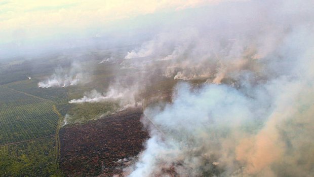 Clearance: Fires in the Tripa peat forest in Aceh. The destruction poses a new threat to rare orang-utans.