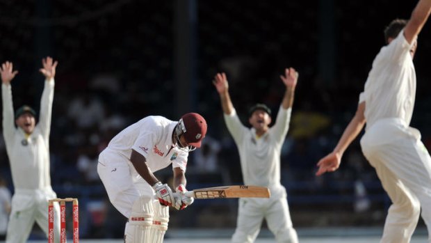Australian appeals for lbw against West Indies batsman Kieran Powell.