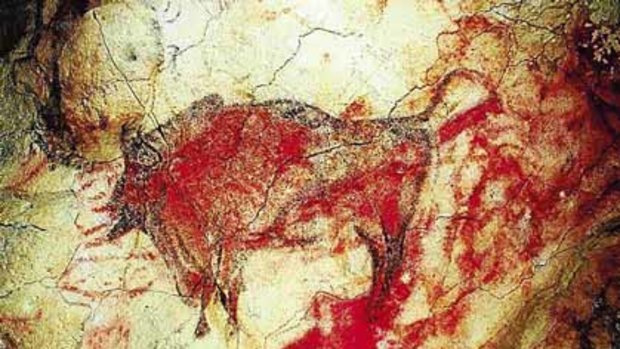 A bison painting in the Altamira cave in northern Spain.