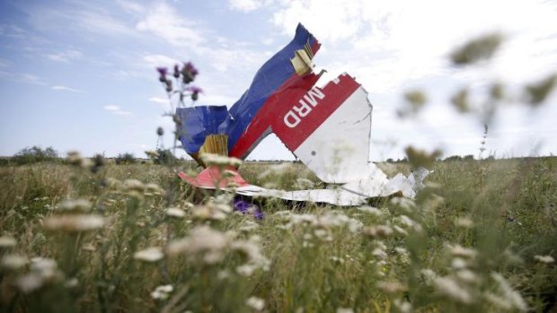 A part of the wreckage of Malaysia Airlines flight MH17 near Hrabove in the Donetsk region of Ukraine.