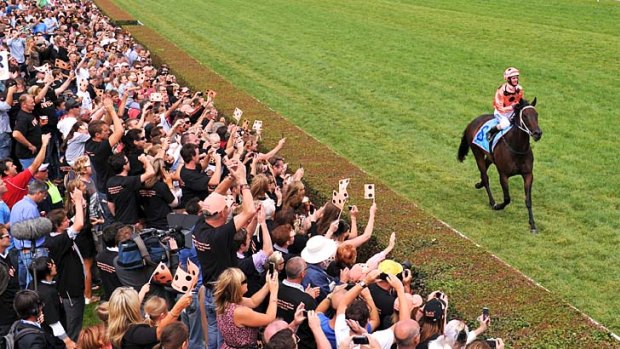 Queen of the turf: The large crowd at Caulfield applauds champion mare Black Caviar who made 1400 metres look easy as she trounced a class field.