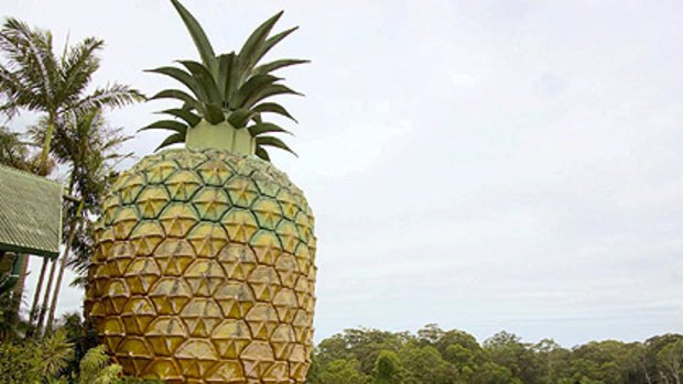 Nambour's Big Pineapple will be turned into a tourist destination for motor sport enthusiasts.