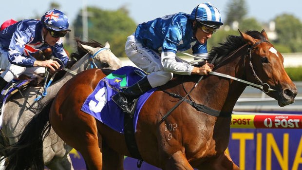 On the rise: Damien Oliver steers Malasun to victory at Caulfield earlier this year.