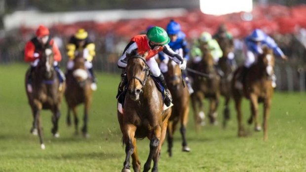 World game: Beach Beauty scores over the mile at South Africa's Durban July meeting at the weekend - the nation's biggest race day.