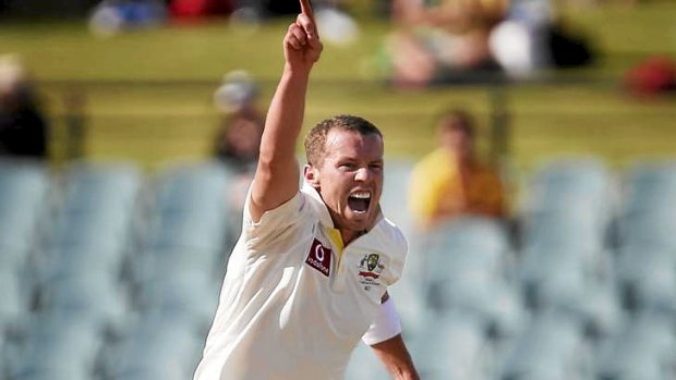 Marathon effort ... Peter Siddle was still bowling 140kp/h during the last session of the second Test against South Africa in Adelaide.