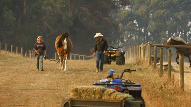 Tom Skinner drove a cart load of hay from NSW to help out at Ross and Lisa Little's Kinglake equestrian property.