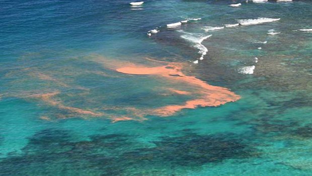 Aerial view of the coral spawn slick off Pelican Point in the Ningaloo Marine Park.