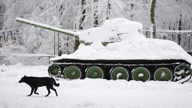 A dog runs past a Soviet-era tank, with the air temperature at about minus 8 degrees Celsius, in a park of Russia's southern city of Stavropol on Christmas Eve.