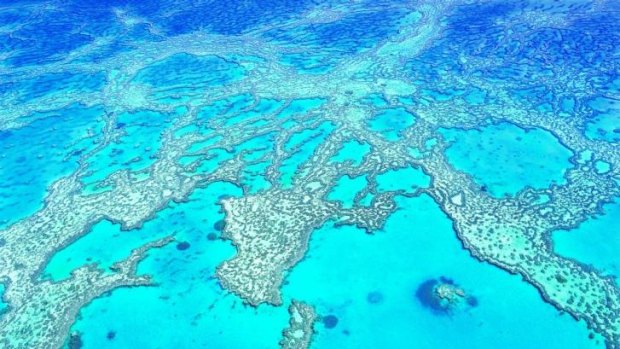 Hardy Reef, part of the larger Great Barrier Reef.