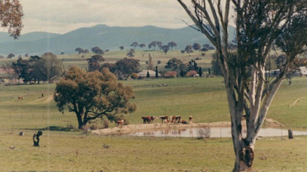 View down to the rear of Deasland Homestead (1969).  Taken from the slopes now covered by the suburb of Nicholls.