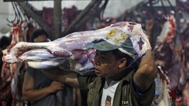 Restrictions ... Indonesia, which relies on Australia for 25 per cent of its beef is anxious to avoid a long-term ban.
