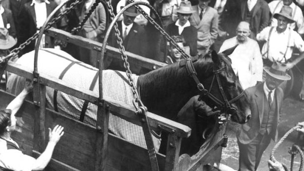 Longshot or a blank ... Phar Lap en route to the US from Australia in 1932. He was never to return, the great horse's death a lingering mystery.