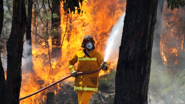 A firefighter tackles the raging blaze near the small Gippsland town of Boolarra.
