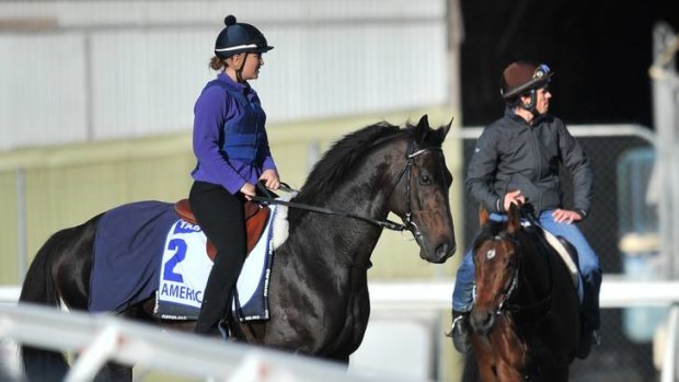 Cup hopes Americain, ridden by Stephanie Nigge, and Dunaden, with Mathieu Brasme on board, looking relaxed at Werribee.