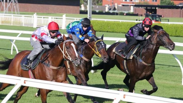 Easy time: Fiorente, right, works home nicely for second behind Glencadam Gold, left, in a trial at Randwick on Friday.