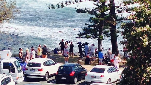 Crowds gather at Burleigh to watch the recovery effort.