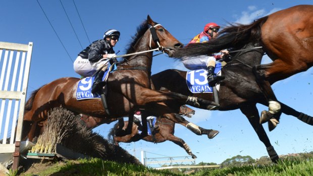 Making a move: Brad McLean clears the Tozer Road double on Cat's Fun.