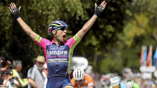 Somebody stop me: Diego Ulissi of Italy celebrates after winning stage two of the 2014 Tour Down Under.