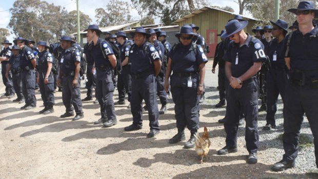 Police from Australia and Pacific nations take part in a simulated peacekeeping mission.