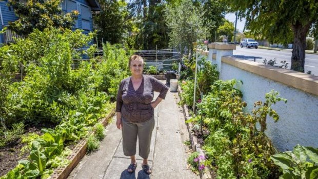 Theano Michellis, a Lytton Road resident of 30 years, is concerned about losing her garden when the road is upgraded.
