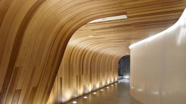 A cedar timber wall curves into the ceiling.