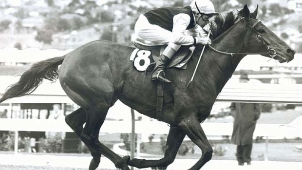 Mighty: Hall of Fame member Brent Thomson and the ill-fated Dulcify won the AJC Derby on protest in 1979.