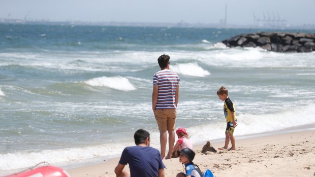 Beachgoers at Elwood stick to the sand after a sighting at nearby St Kilda. 