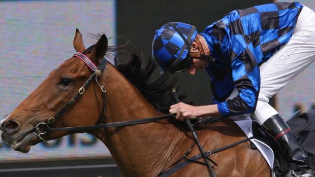 Questions ... Buffering and Nash Rawiller winning at Randwick. An injury cloud hangs over Buffering for today's group 1 $400,000 BTC Cup at Doomben.