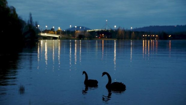 Serene scene: Lake Burley Griffin provides a haven for many species of bird.