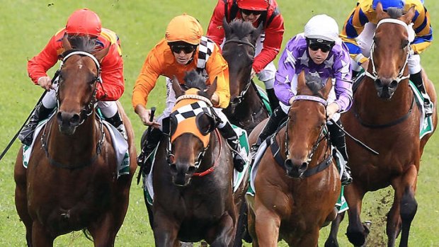 Rock Hero charges home to win at Randwick.