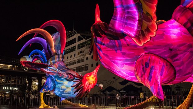 A large rooster lantern has been constructed at the Overseas Passenger Terminal to celebrate the start of the Chinese new year of the dog. 