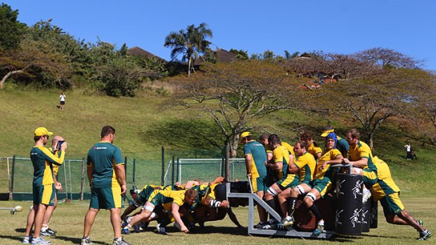 Practice makes perfect ... the Wallabies' pack puts in some punishing set-piece training ahead of the Durban Test victory at the weekend.