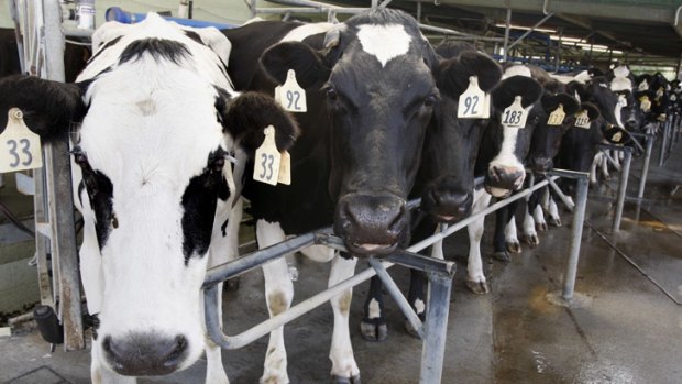 Milk processor says system will improve farmers' profitability.