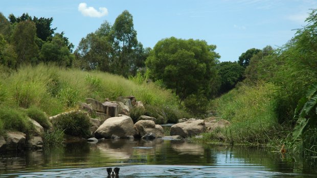 Kedron Brook Floodway