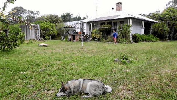 Calm now: Alaskan malamute Rex and the Lake Munmorah property.