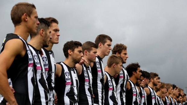 Youth on their side: Collingwood’s younger players are lifting the team. 