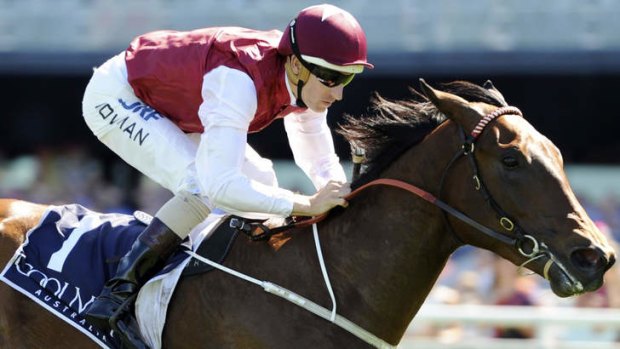 G force: Kerrin McEvoy pilots filly Guelph to victory.