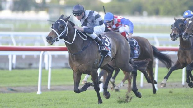 Deserved win: Red Tracer storms to an easy win in the Tattersall's Tiara on Saturday.