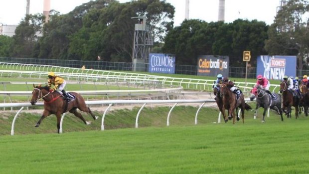 Great ride: Jim Cassidy takes an early lead on Steps In Time  in the Coolmore Classic.