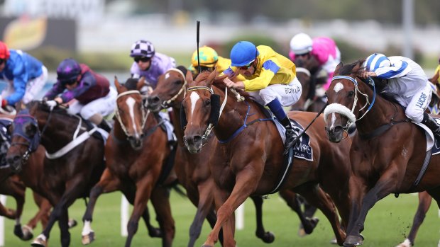 Reaching for the Sky: Sydney meetings such as Friday's Summer Cup program at Randwick look likely to be shown on Sky Channel again.
